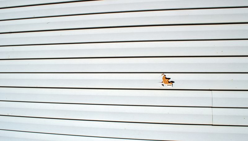 Siding Maintenance and Repairs